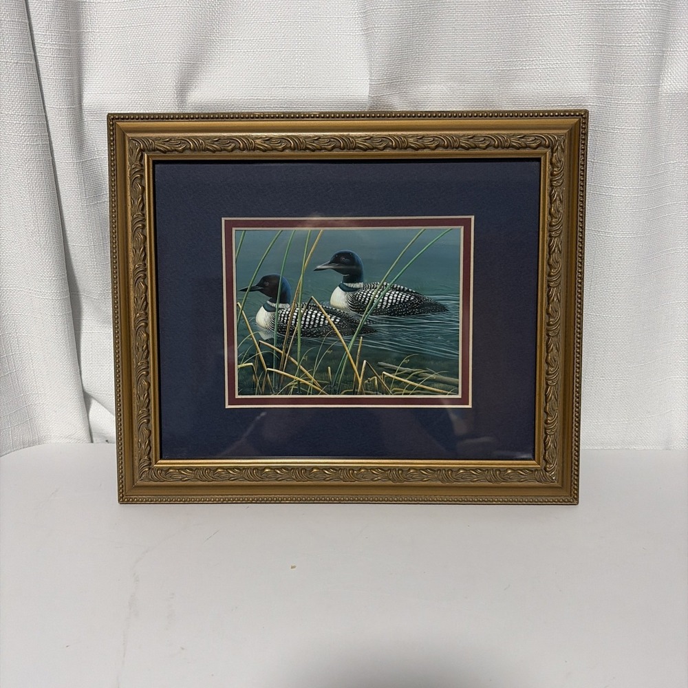 Common Loons On The Water Framed Art Print 10x12 Gold Tone Frame Small Modern